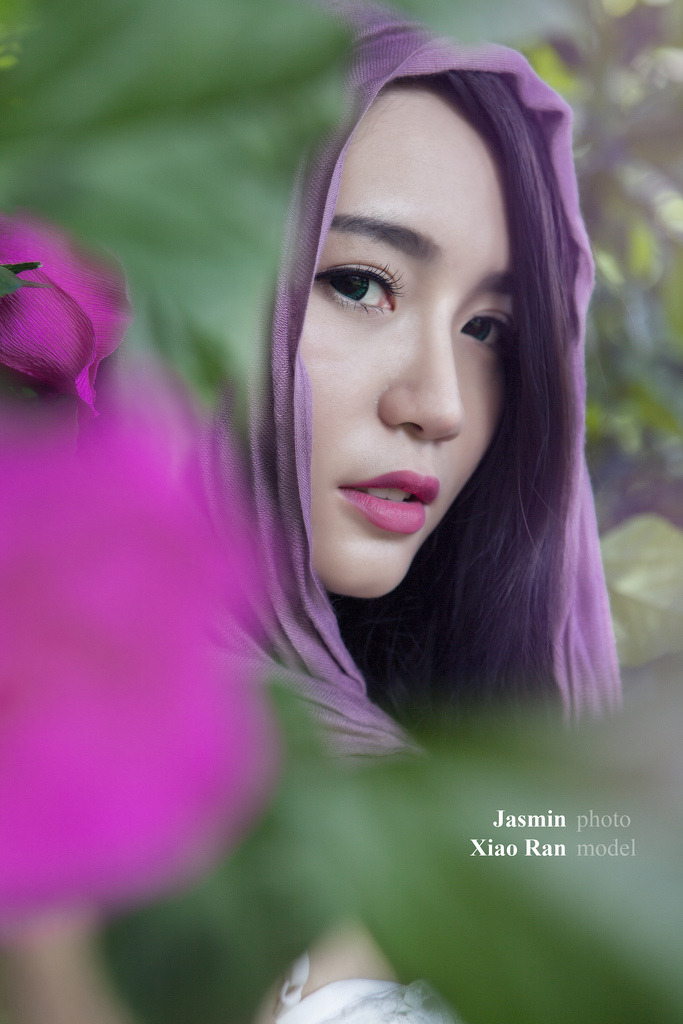 《花好月又圆》免费观看